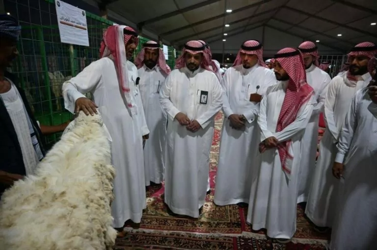 تُدشن-مهرجان-الأنعام-الأول-بجدة-لتعزيز-الثروة-الحيوانية-وتحقيق-الأمن-الغذائي
