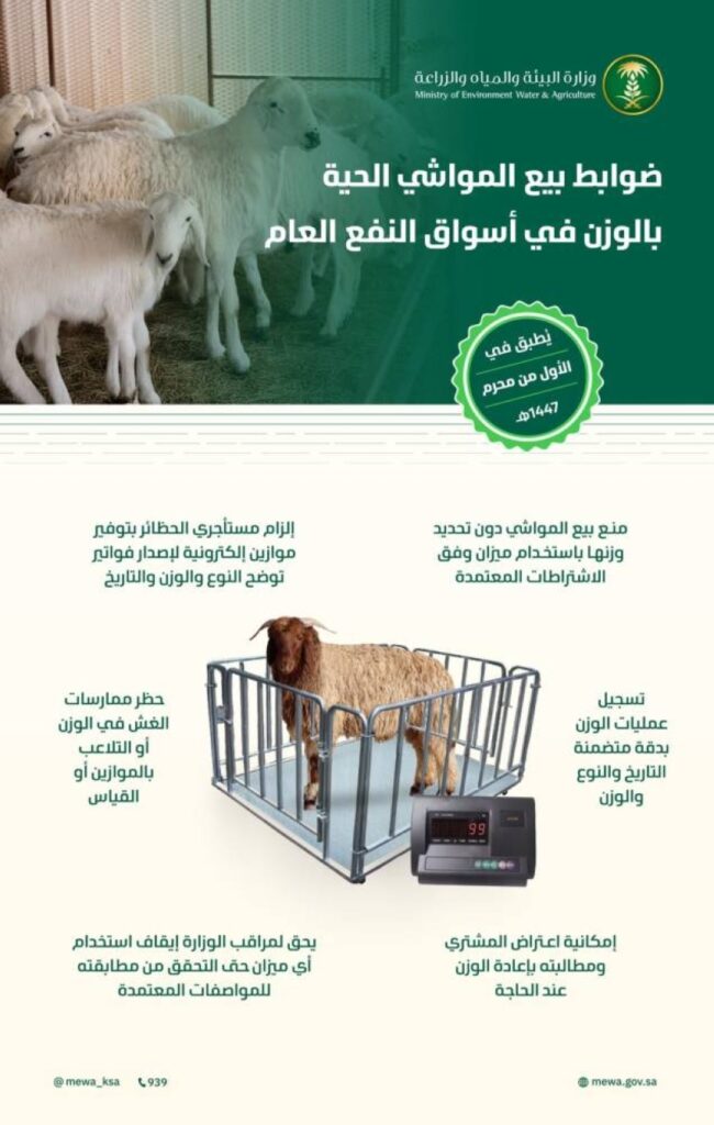 بدء-بيع-المواشي-الحية-بالوزن-الخميس-المقبل