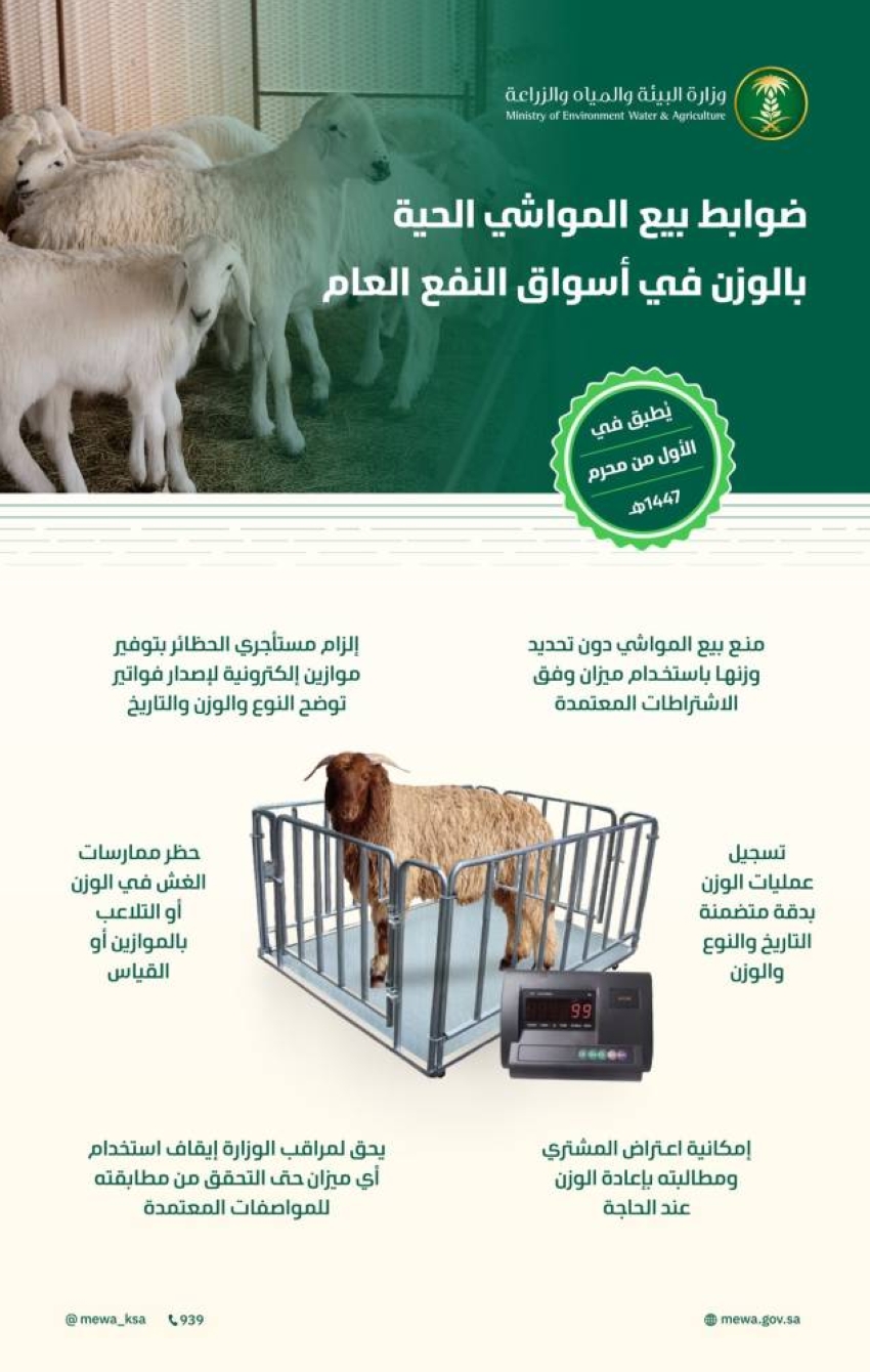 بدء-بيع-المواشي-الحية-بالوزن-الخميس-المقبل