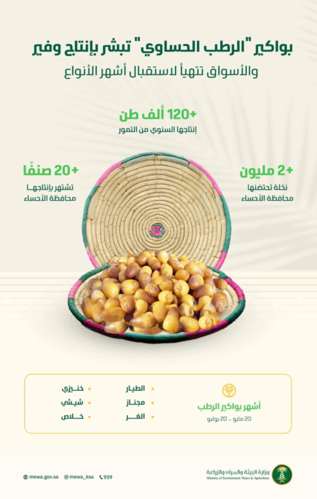 بواكير-الرطب-الحساوي-تبشر-بإنتاج-وفير-والأسواق-تتهيأ-لاستقبال-أشهر-أنواعه-من-الخلاص-والشيشي-والغر