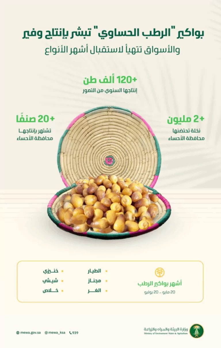 بواكير-الرطب-الحساوي-تبشر-بإنتاج-وفير-والأسواق-تتهيأ-لاستقبال-أشهر-أنواعه-من-الخلاص-والشيشي-والغر