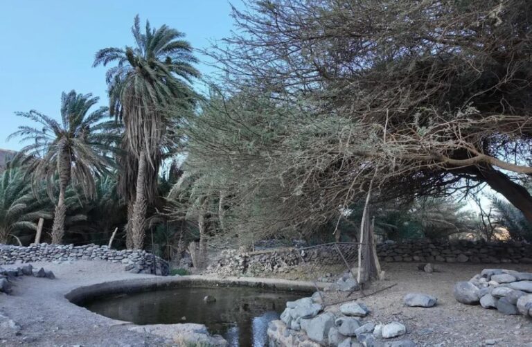 “عين-شلال”-بالعلا.-قصة-صمود-يرويها-جريان-مياهها-منذ-مئات-السنين