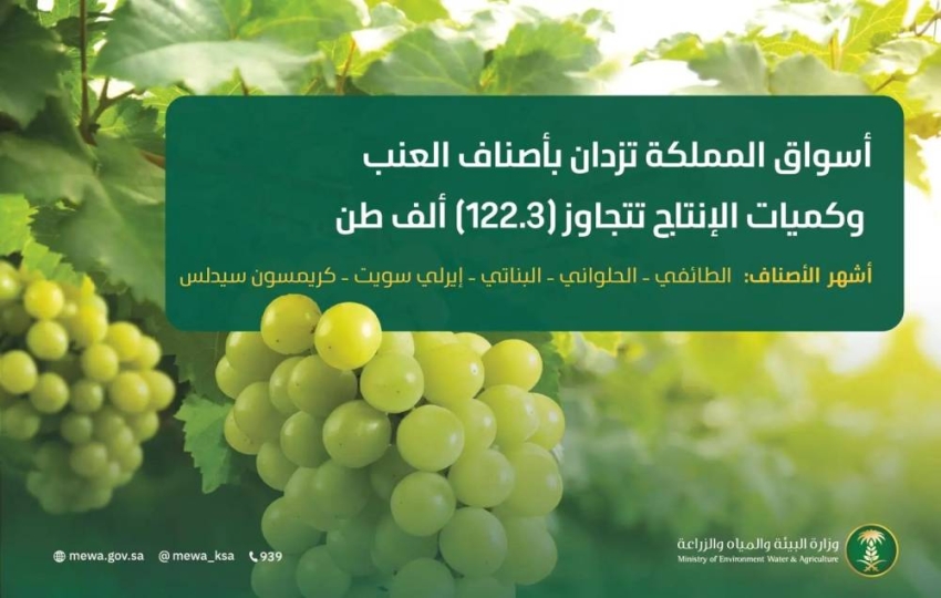 أسواق-المملكة-تزدان-بأجود-أصناف-العنب-وكميات-الإنتاج-تتجاوز-(122.3)-ألف-طن