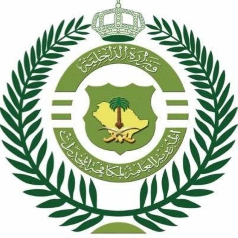 ضبط-مروج-بحوزته-46-ألف-قرص-إمفيتامين