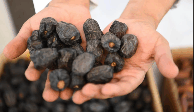 سوق-التمور-بالمدينة-المنورة-فرصة-واعدة-لرواد-الأعمال-الشباب