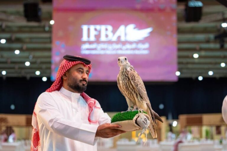 المزاد-الدولي-لمزارع-إنتاج-الصقور-يعرض-صقرًا-يقطع-أكثر-من-600-كيلومتر-في-8-ساعات
