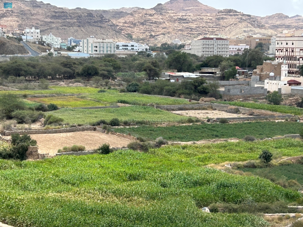 صور-|-مزارع-عسير.-وجهة-سياحية-متكاملة-تتميز-بجمال-الطبيعة