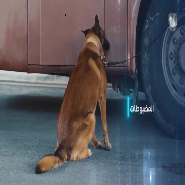 ‎زاتكا-تُحبط-محاولتي-تهريب-300-ألف-حبة-من-الكبتاجون-المخدر