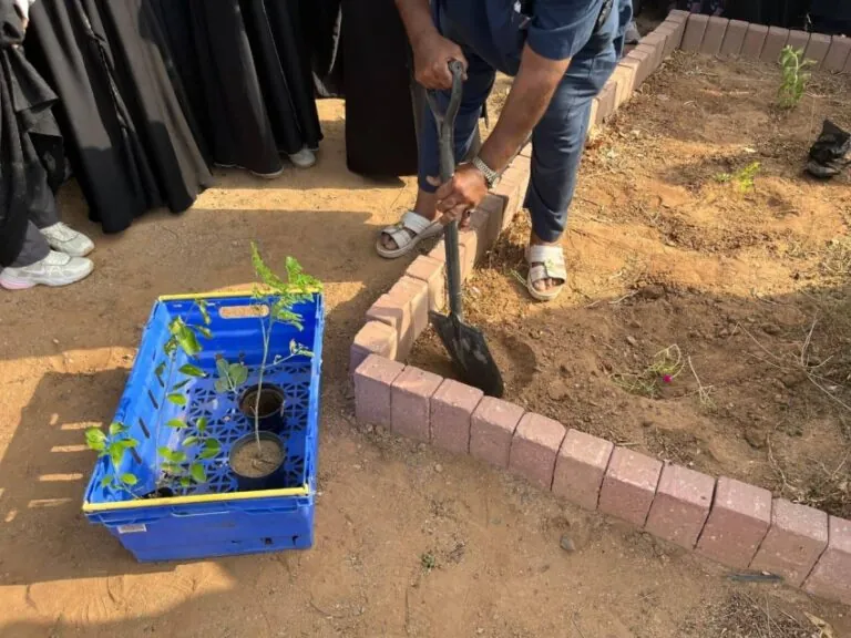 بيئة-جدة-تنفذ-مبادرة-تشجير-في-التقنية-الرقمية-للبنات
