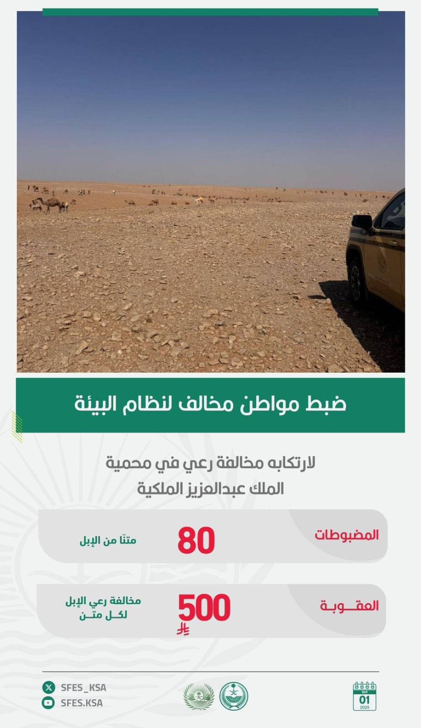 ضبط-مواطن-مخالف-لنظام-البيئة-لارتكابه-مخالفة-رعي-في-محمية-الملك-عبدالعزيز-الملكية
