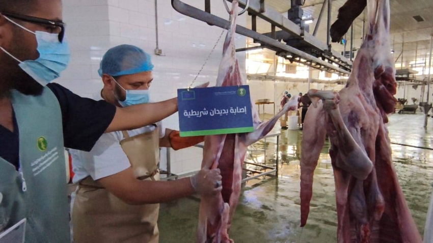 بيئة-جدة.-تراقب-المسلخ-الرئيسي
