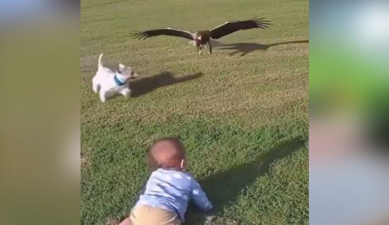 الذكاء-الاصطناعي.-من-الإبداع-إلى-الخداع