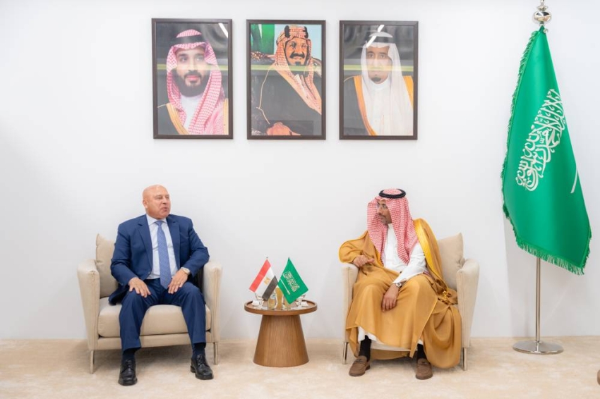 وزير-الصناعة-يلتقي-نائب-رئيس-مجلس-الوزراء-للتنمية-الصناعية-المصري