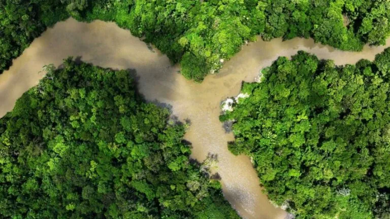 دراسة:-التغير-المناخي-يحوّل-غابات-أستراليا-المطيرة-إلى-مصدر-لانبعاث-الكربون