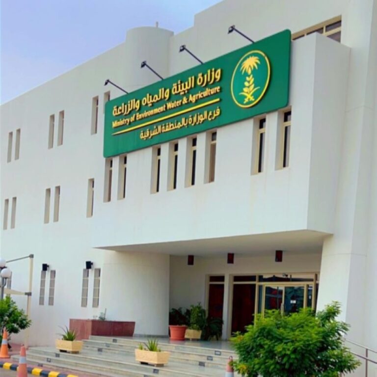 بفعاليات-توعوية.-بيئة-الشرقية-تشارك-في-اليوم-العالمي-للغذاء