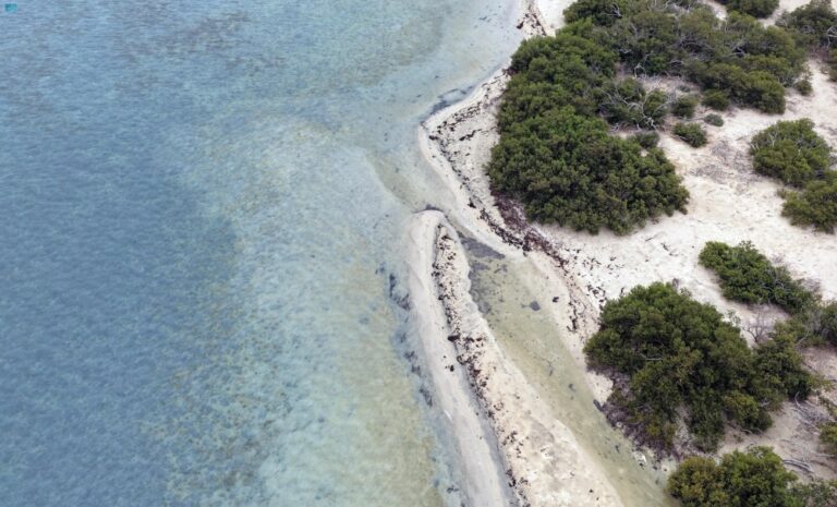 صور-|-جزر-البرك.-وجهة-بحرية-ترسم-مشاهد-خلّابة-وتجارب-سياحية-فريدة