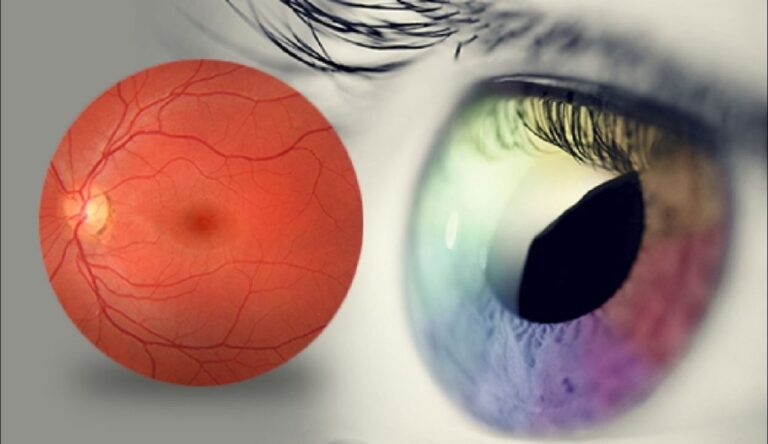 دراسة:-شريحة-لاسلكية-تعيد-لمصابي-الضمور-البقعي-القدرة-على-القراءة