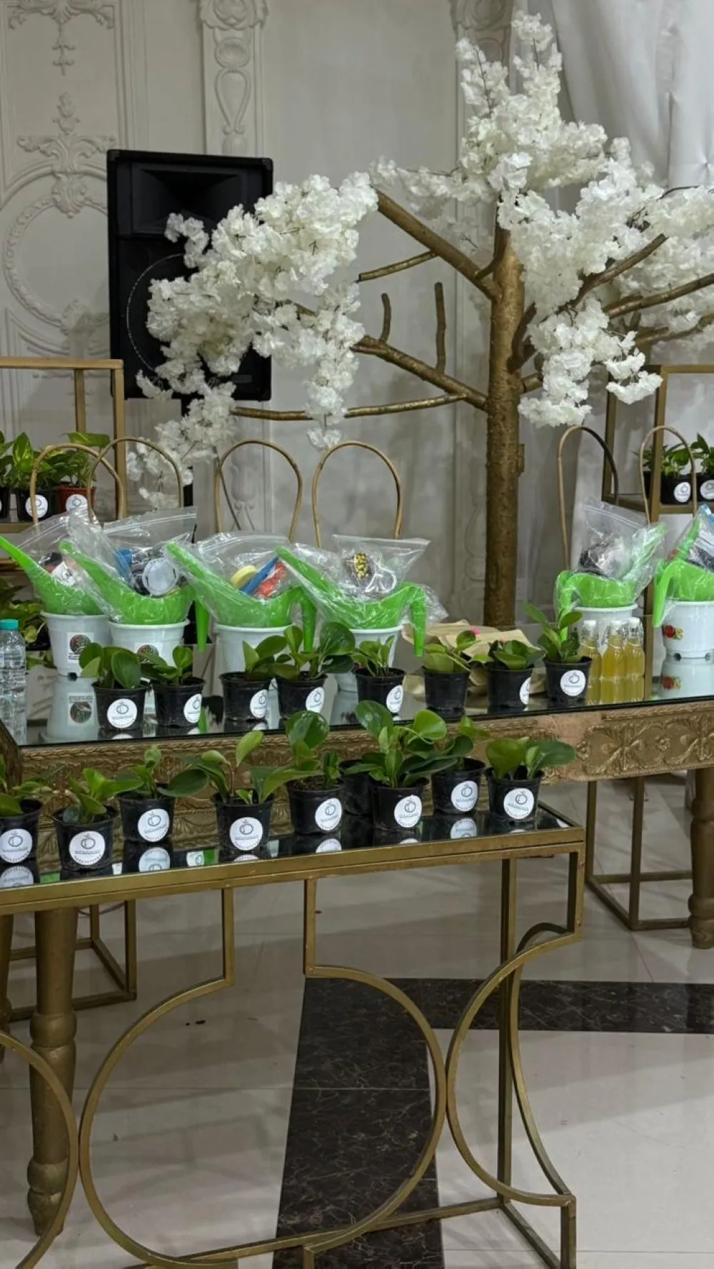 شمل-توزيع-شتلات-مجانية.-ملتقى-زراعي-نسائي-لتبادل-الخبرات-بالقطيف