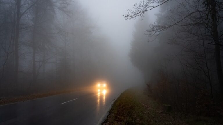 ضباب-حتى-الصباح.-“الأرصاد”-يحذر-من-طقس-الشرقية 