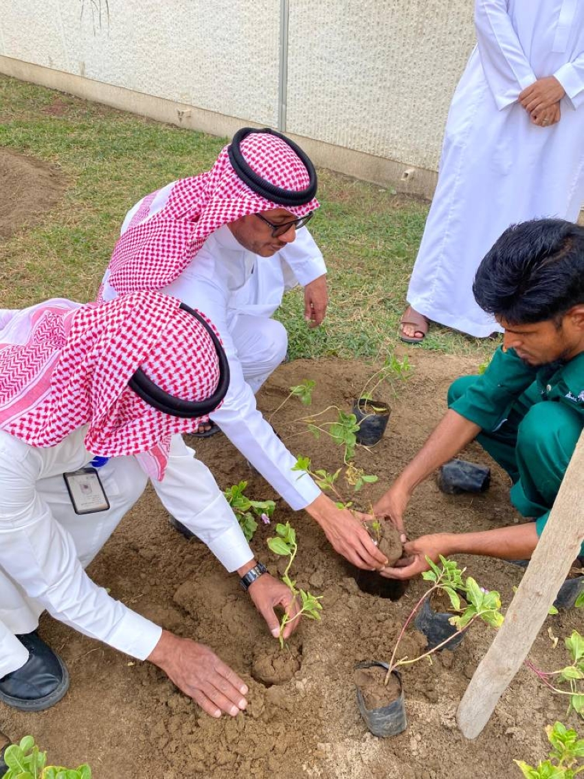 بيئة-العاصمة-المقدسة-تنفذ-المرحلة-الثالثة-من-مبادرة-تشجير-مستشفى-النور-التخصصي