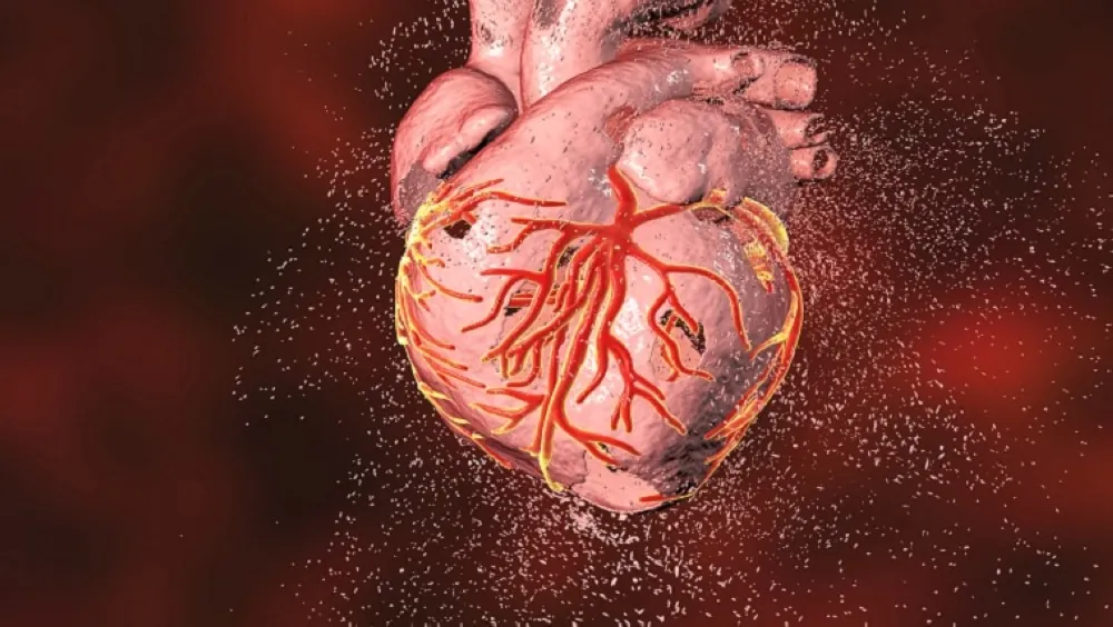 منظم-ذكي.-اكتشاف-علمي-يعيد-تنشيط-القلب-بعد-حدوث-النوبات