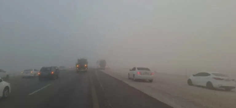 طقس-الصباح-الباكر.-ضباب-متباين-الشدة-على-أجزاء-من-الشرقية