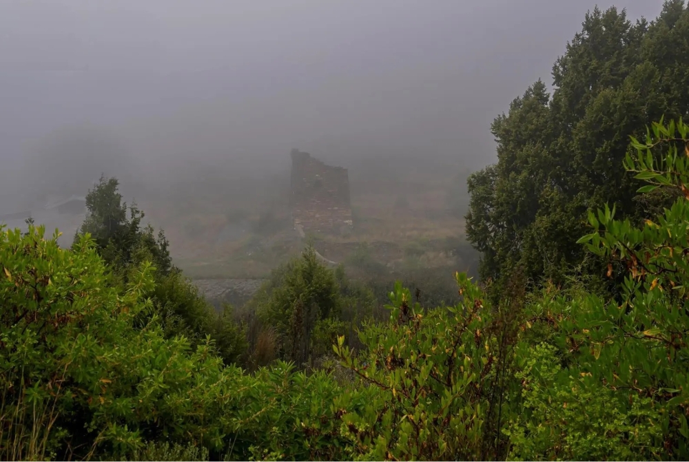 استمرار-الضباب-على-العديد-خلال-ساعات-الصباح-الباكر