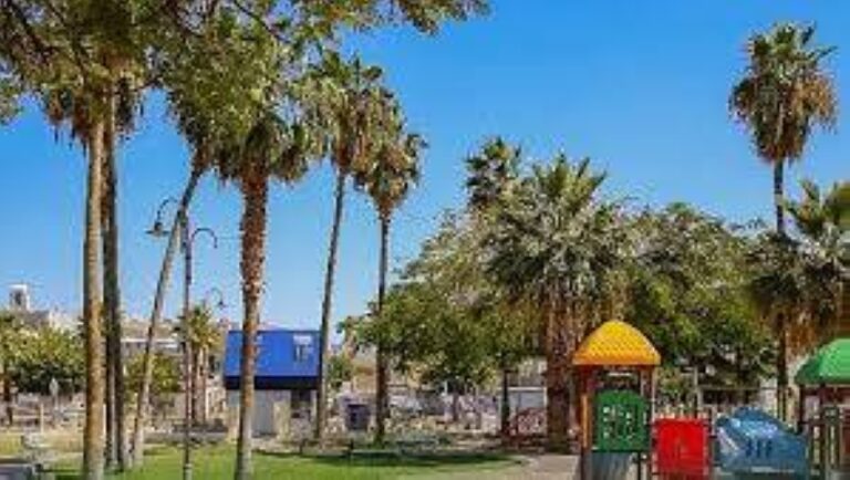 تحويل-«حديقة-الحي»-بيئات-تفاعلية-جاذبة