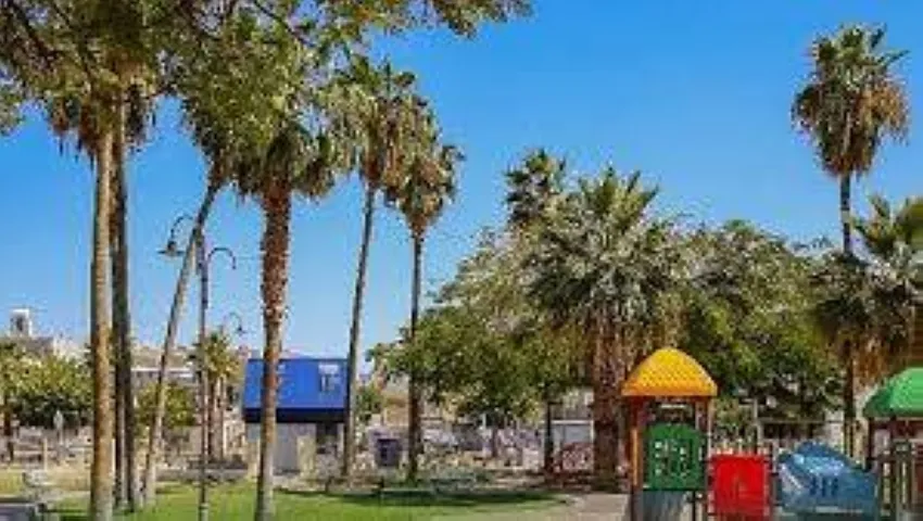 تحويل-«حديقة-الحي»-بيئات-تفاعلية-جاذبة