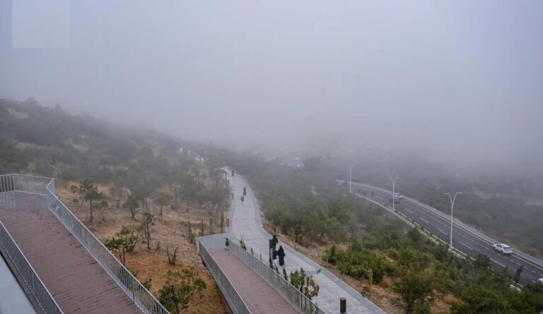 طقس-الصباح-الباكر.-ضباب-خفيف-وتدني-الرؤية-على-أجزاء-من-الشرقية