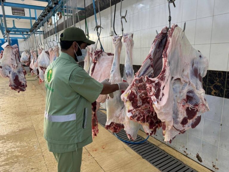 بيئة-الجوف-تنفذ-996-جولة-رقابية-على-أسواق-النفع-العام-والمسالخ-وتضبط-14-مخالفة