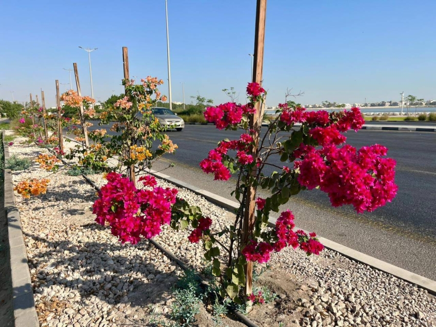 بلدية-القطيف:-إنجازات-تنموية-نحو-بيئة-مستدامة-خلال-أكتوبر-2025م