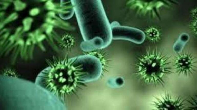 لا-لقاحات-أو-أدوية.-تحذير-عالمي-من-تفشي-فيروس-ماربورج-القاتل