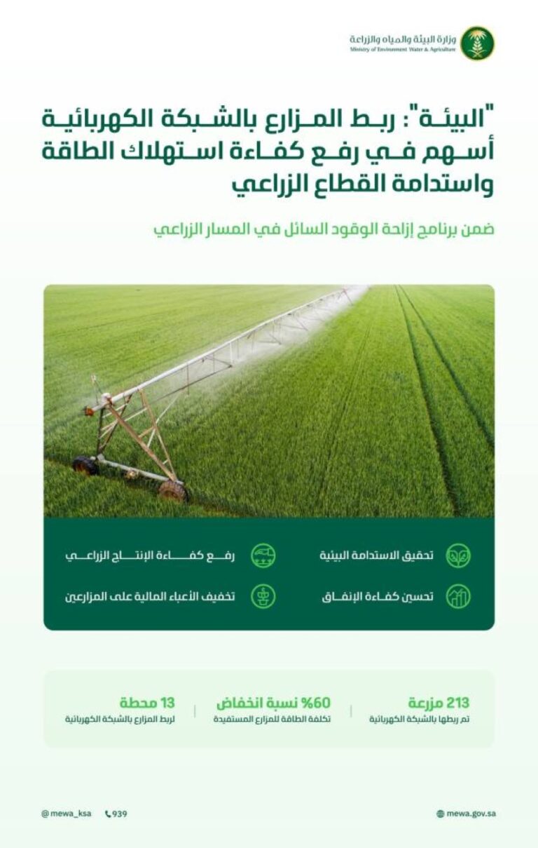 ربط-213-مزرعة-بالكهرباء-يخفض-التكلفة-60-%