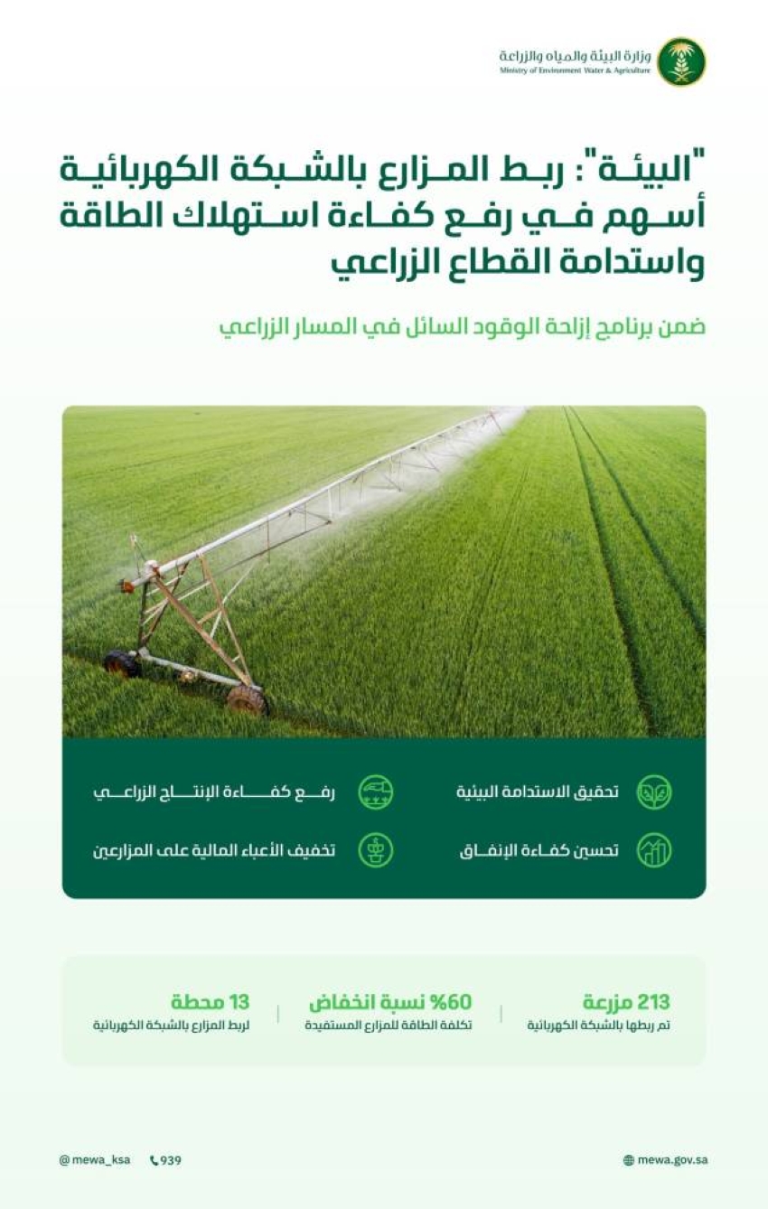 ربط-213-مزرعة-بالكهرباء-يخفض-التكلفة-60-%