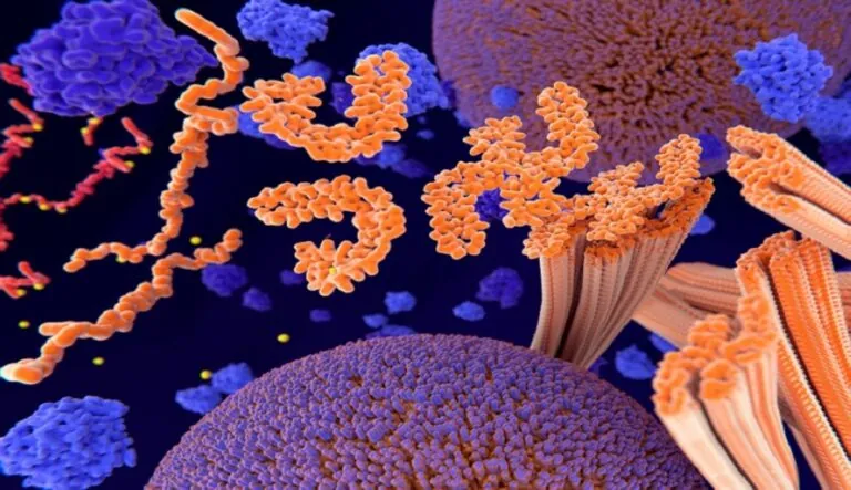ابتكار-جزيئات-تُبطئ-شيخوخة-الخلايا-وتقضي-على-البكتيريا-المقاومة