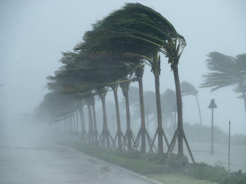 الأرصاد:-رياح-نشطة-وارتفاع-أمواج-البحر-في-المنطقة-الشرقية