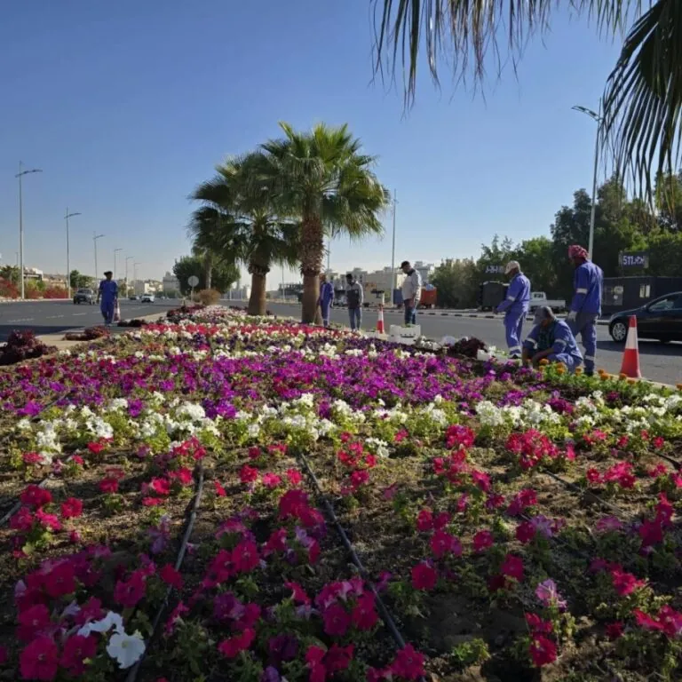 تجهيز-150-حديقة-لاستقبال-الزوار-خلال-الإجازة-بالطائف