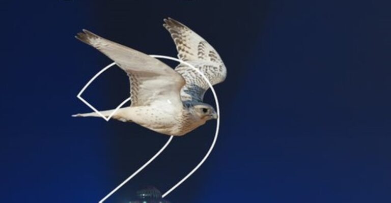 انطلاق-فعاليات-كأس-نادي-الصقور-في-الظهران-إكسبو الأحد-المقبل