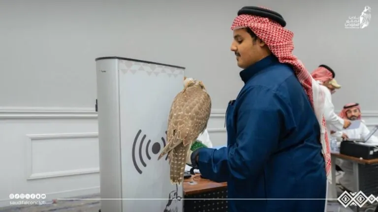 استعدادات-مكثّفة-لانطلاق-كأس-نادي-الصقور.-غدًا-بالشرقية