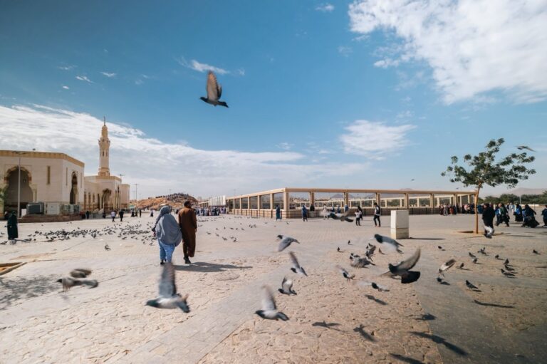 شتاء-المدينة-المنورة.-موسم-ثقافي-وسياحي-يجمع-التاريخ-والترفيه