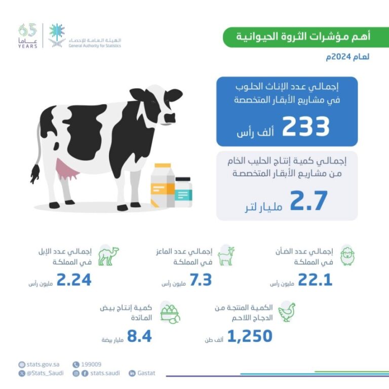السعودية-تنتج-84-مليارات-بيضة-و1.3-ملايين-طن-دجاج