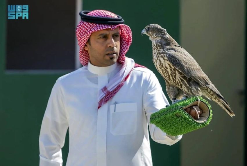 كأس-نادي-الصقور-2025.-يُمهِّد-الطريق-لمشاركة-الصقارين-في-مهرجان-المؤسس