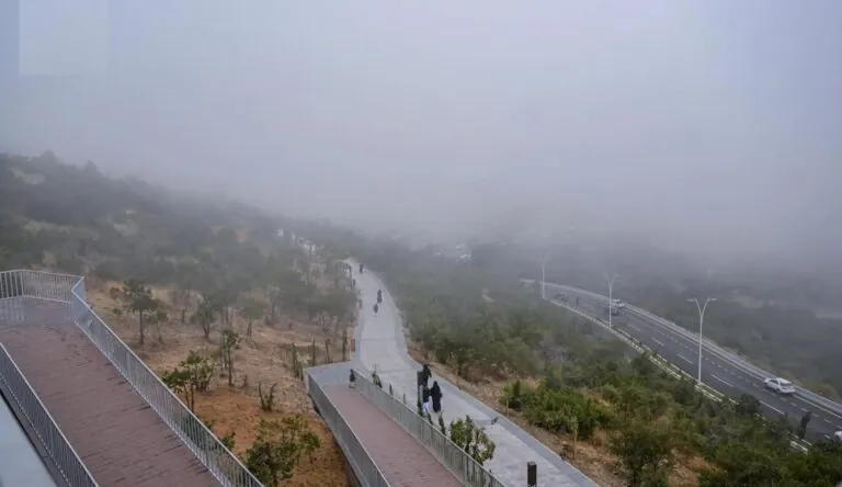 طقس-الصباح-الباكر.-ضباب-وتدني-مدى-الرؤية-على-الشرقية