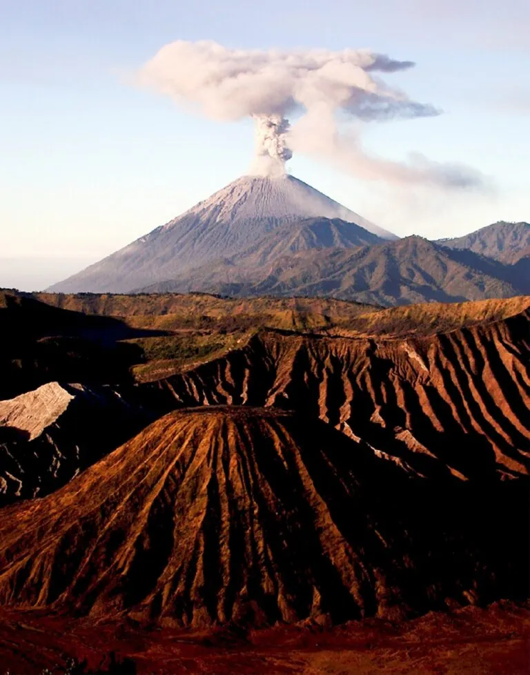 السحار-البركاني.-كيف-تتجنب-المرض-ومتى-تحتاج-إلى-زراعة-رئة؟