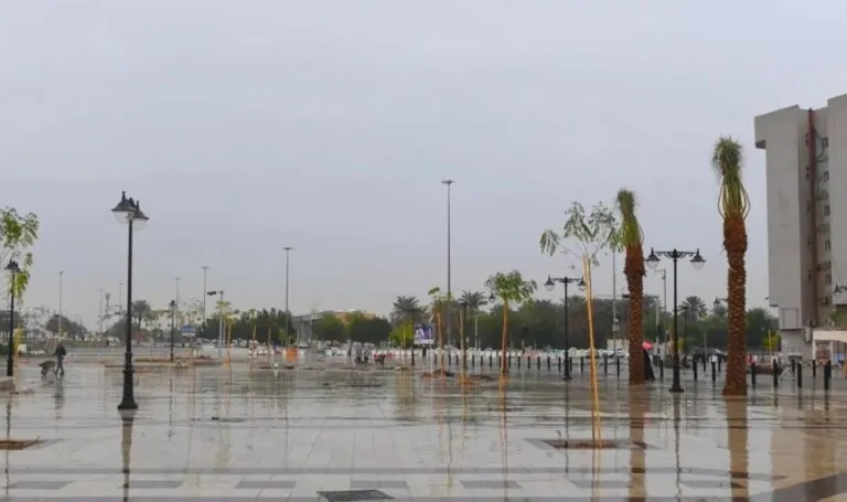 طقس-المنطقة-الشرقية.-أمطار-خفيفة-على-حفر-الباطن