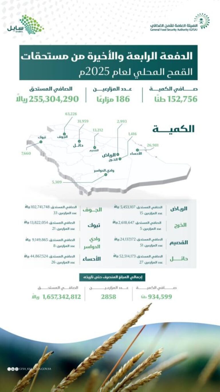 صرف-255-مليون-ريال-لمزارعي-القمح-المحلي