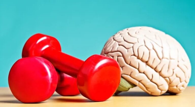 دراسة-تكشف.-التحدث-بعدة-لغات-يبطئ-الشيخوخة-ويحمي-الدماغ