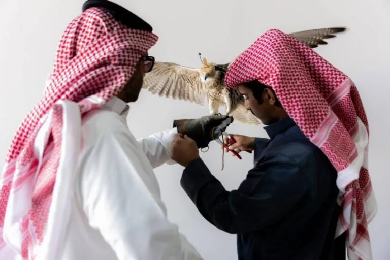 إقبال-لافت-على-توثيق-ملكية-الصقور-في-منافسات-كأس-نادي-الصقور-بالخبر