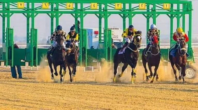 ميدان-سباقات-الخيل-بنجران-يُنظّم-حفل-سباقه-الـ12-للموسم-الحالي.-غدًا